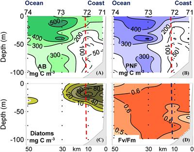 About Pigmented Nanoflagellates and the Importance of Mixotrophy in a Coastal Upwelling System